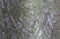 Whimpwell Green fibreglass roof work